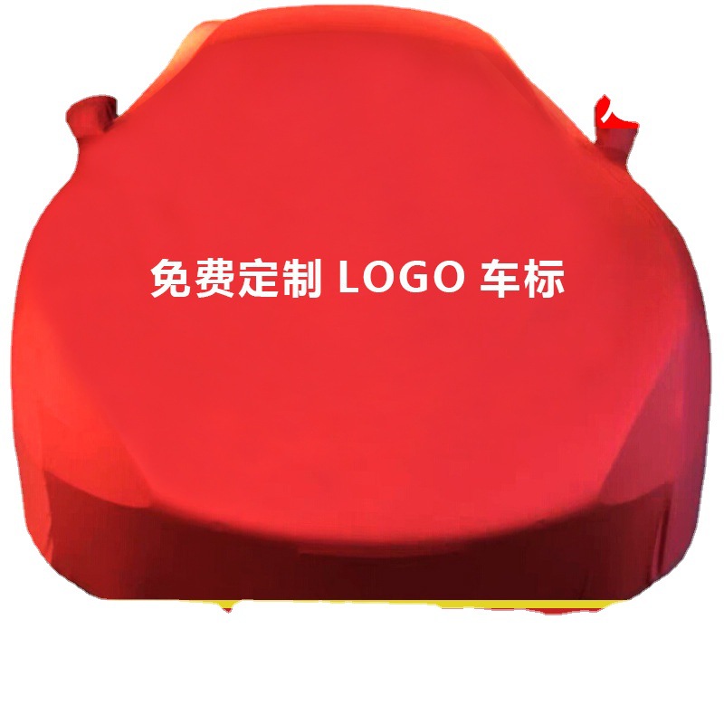 汽车车衣实物图