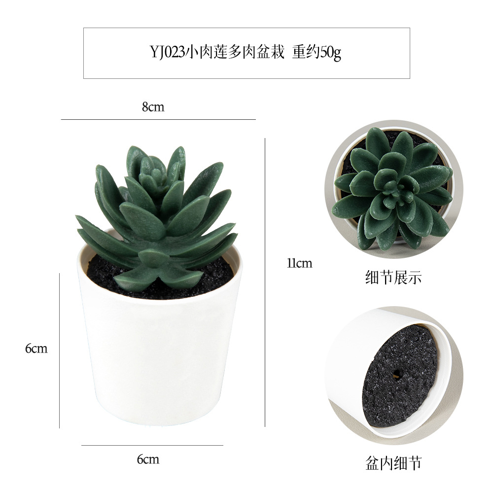 Amazon set of simulation succulent three-piece set with PVC box home decoration simulation plant potted plant gift Application Scenario