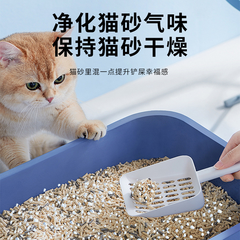 猫砂实物图