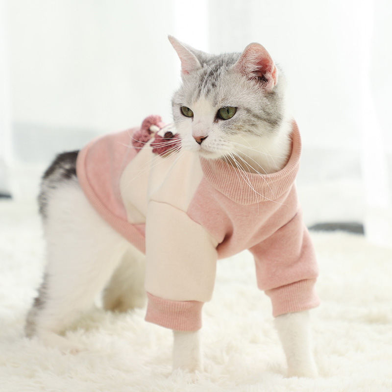 宠物服装新款可爱拼色居家猫咪服饰时尚保暖狗狗卫衣宠物衣服外套详情图1