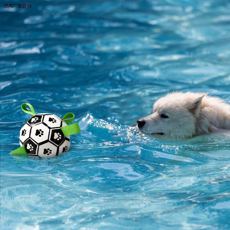 狗狗足球玩具产品图