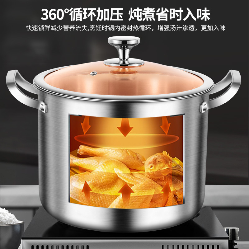 Clang 316 Stainless Steel Soup Pot One Shape Thick Porridge Pot Double Ear Stew Pot Special Cooker details Picture