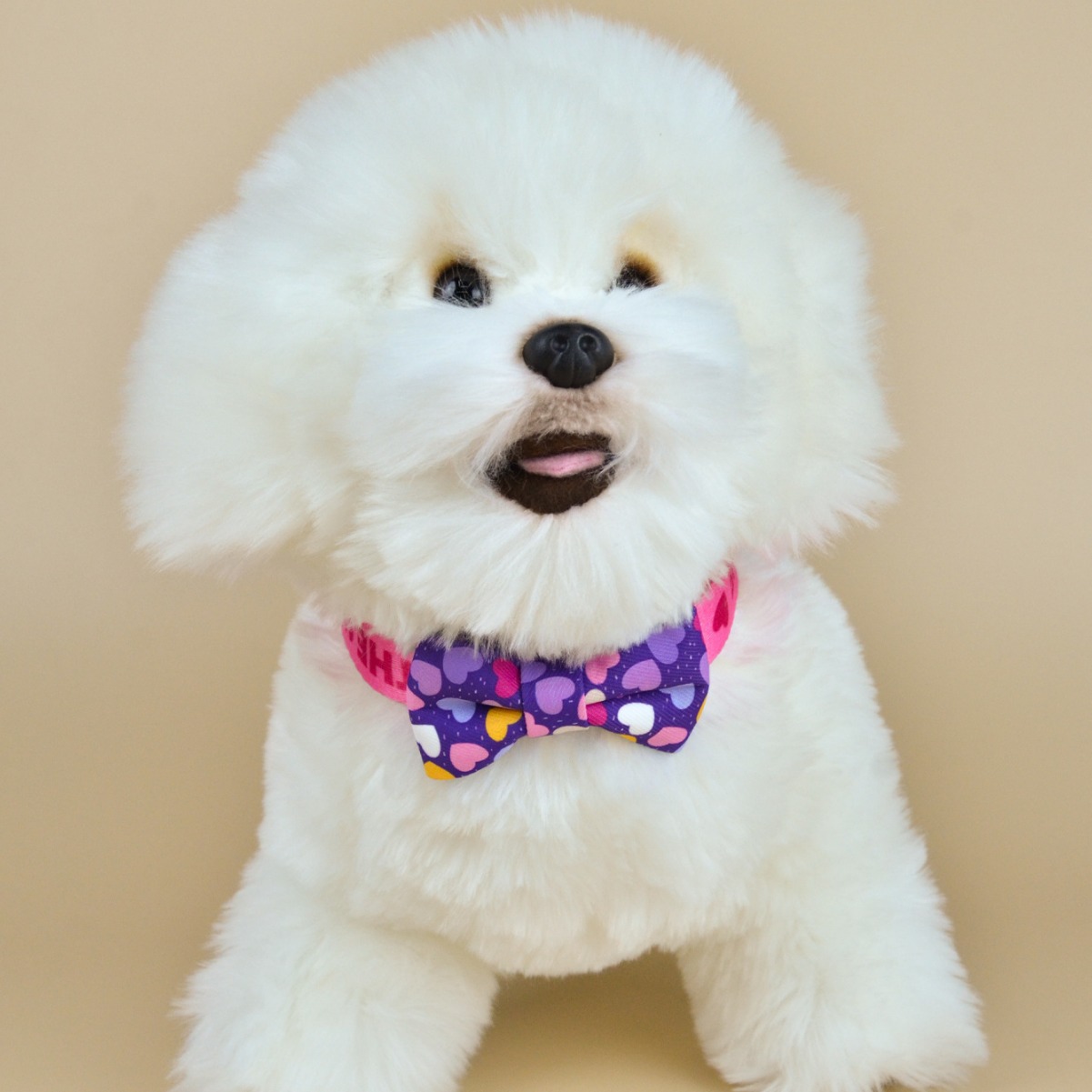 New cross-border summer cute pet collar and bow tie, double-sided printed cat and dog bow tie, cartoon bow tie Application Scenario