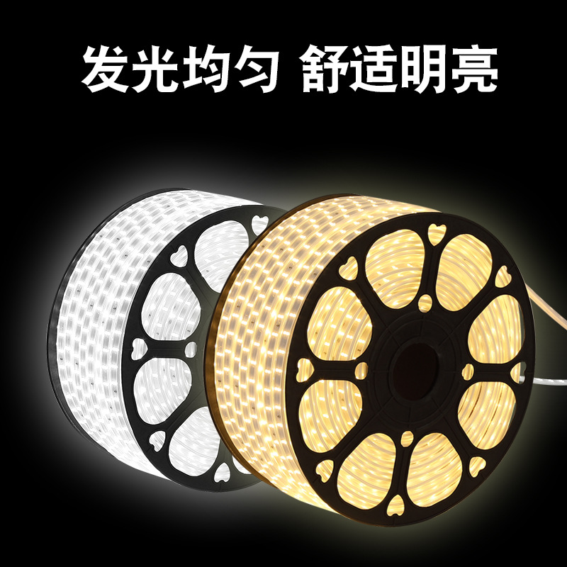 Direct supply of 5730 outdoor waterproof high-voltage 220V color-changing silicone decorative light strips for home engineering details Picture