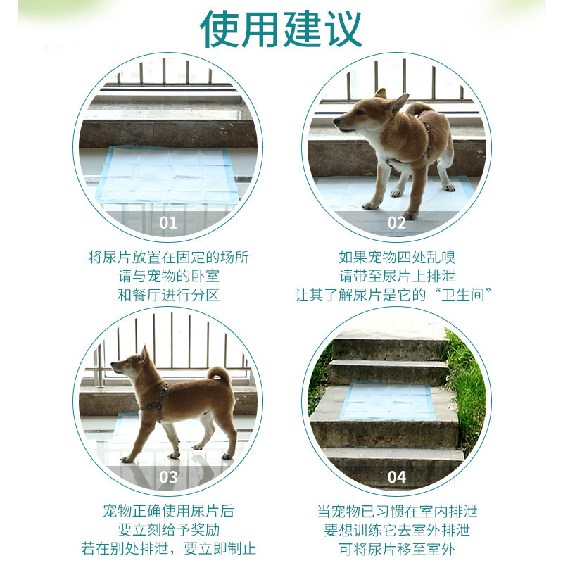 其他宠物周边用品实物图