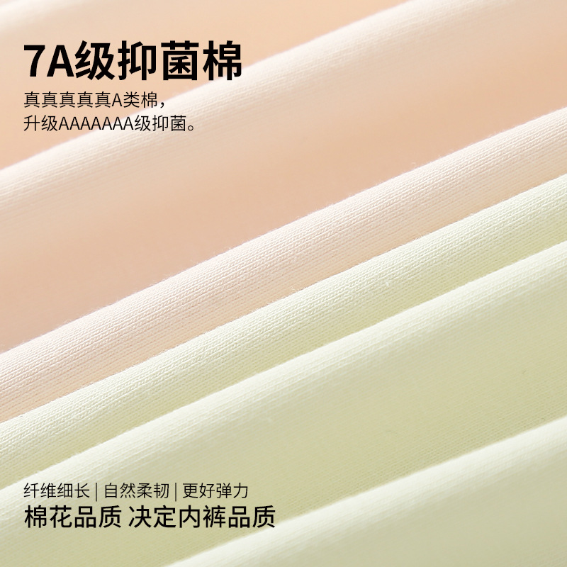 女士三角裤实物图