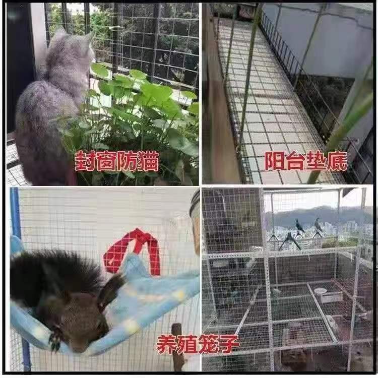 热镀锌电焊网养殖鸡鸭鹅超硬铁丝网防猫防护铁网格网热镀锌铁丝网详情10