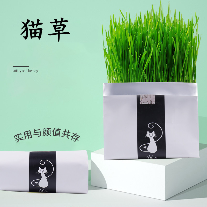 厂家批发猫草大麦猫草去化懒人猫零食
