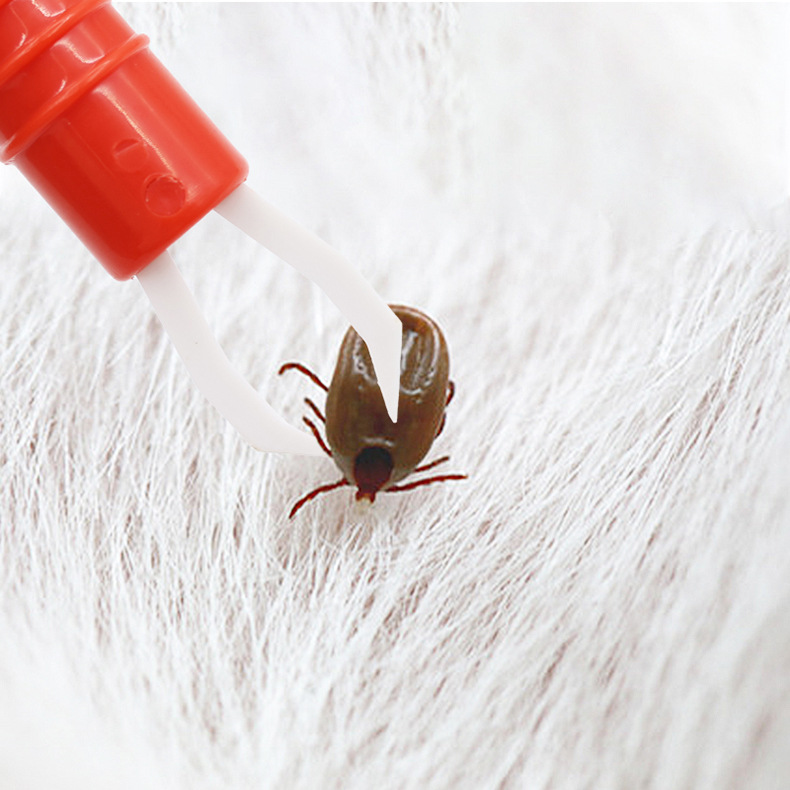 Pet supplies, dog cleaning tools, lice grabbers, lice, flea and tick removers, pet insect pens details Picture