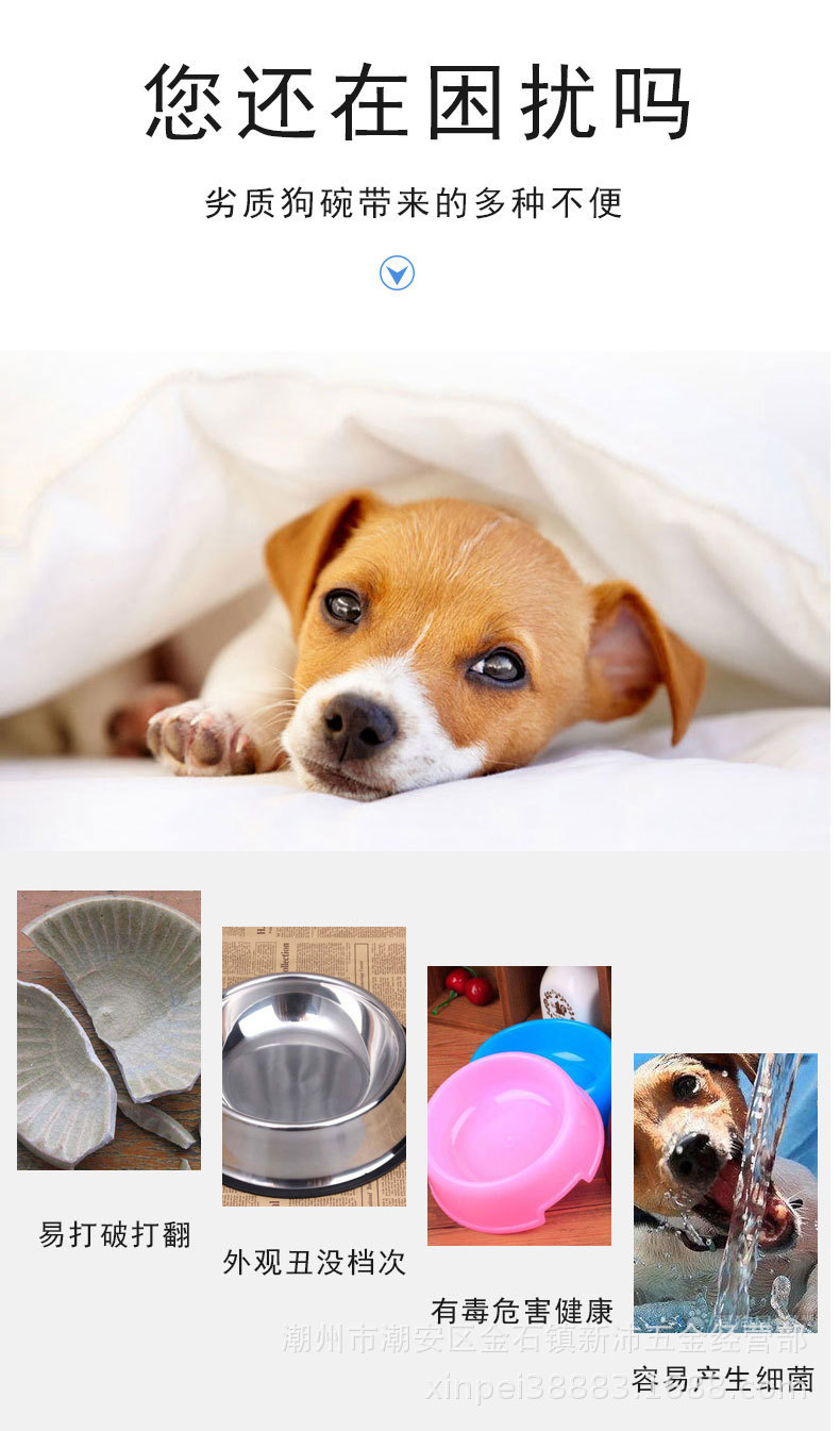 Hot-selling pet supplies: Stainless steel cat bowls, anti-knock and easy to clean, large dog rice bowls, food bowls, pet bowls wholesale Application Scenario