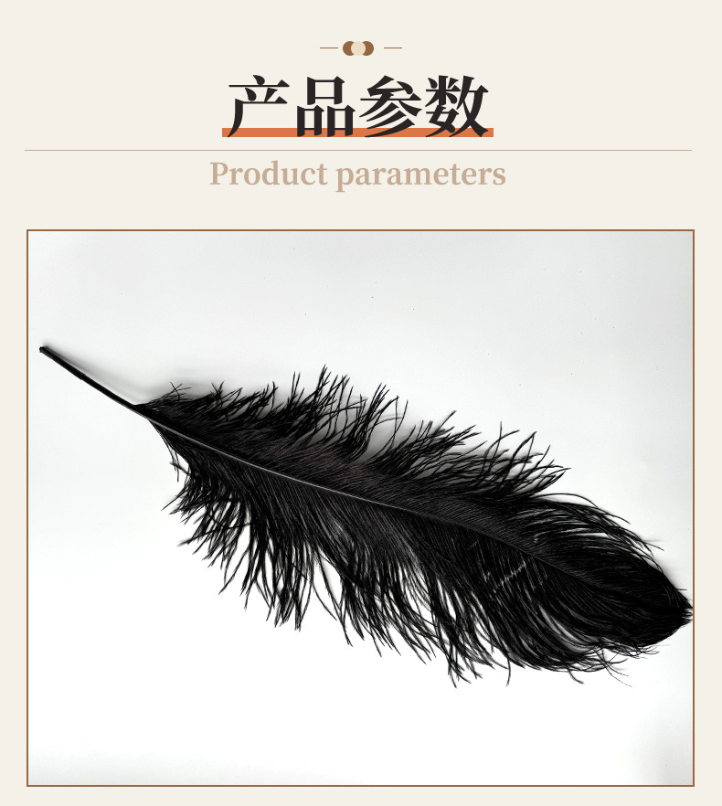 厂家直销15-80cm鸵鸟毛舞台布置真羽毛发夹装饰插花婚庆布置羽毛详情11