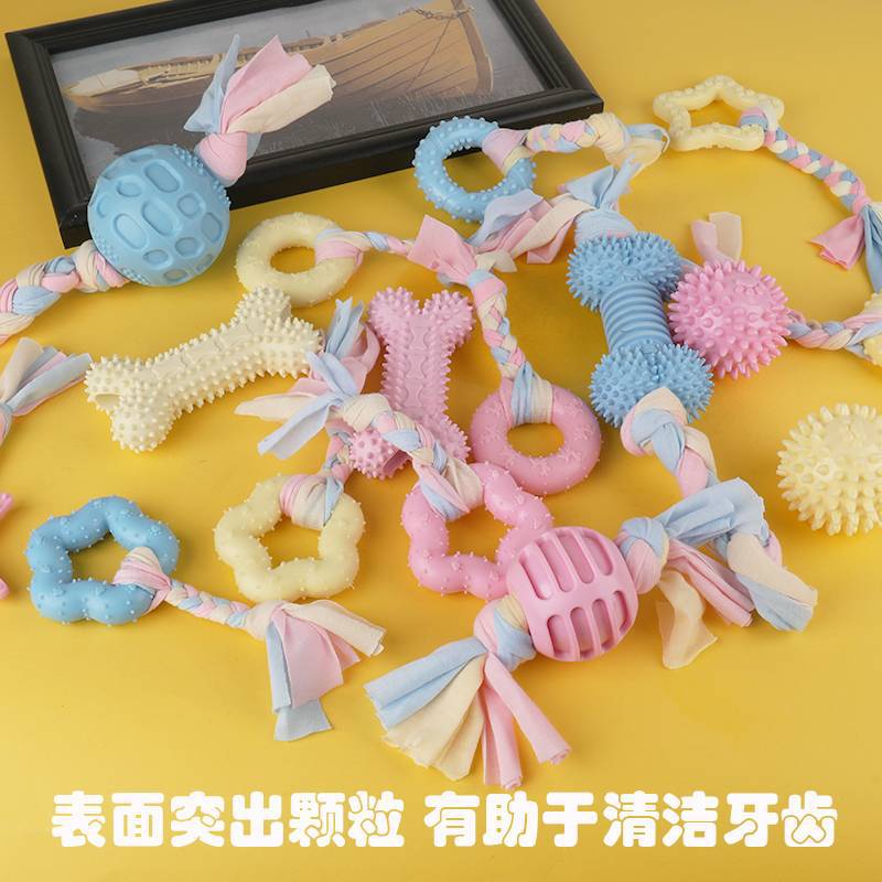 狗狗玩具球磨牙棒TPR材料洁齿泰迪解闷小型犬幼犬狗咬骨头棒批发