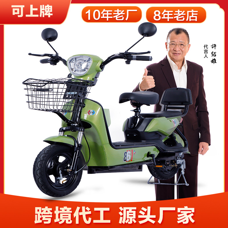 Export Of National Standard Electric Vehicle Adult 48V Electric Bicycle Two-Wheeled Double Electric Battery Car Tram Factory Wholesale details Picture