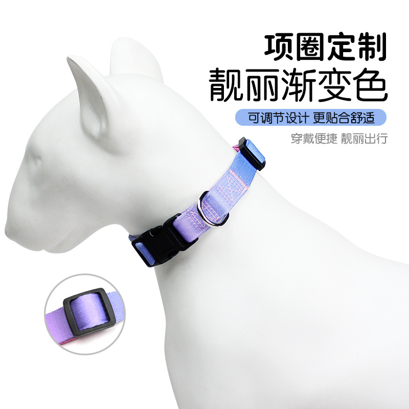 宠物项圈实物图