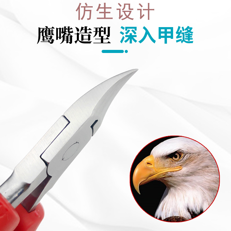 Factory stock stainless steel eagle beak nail groove pliers, dead skin clippers, nail clippers, nail art tools, toenail, thick nail trimming Specification image
