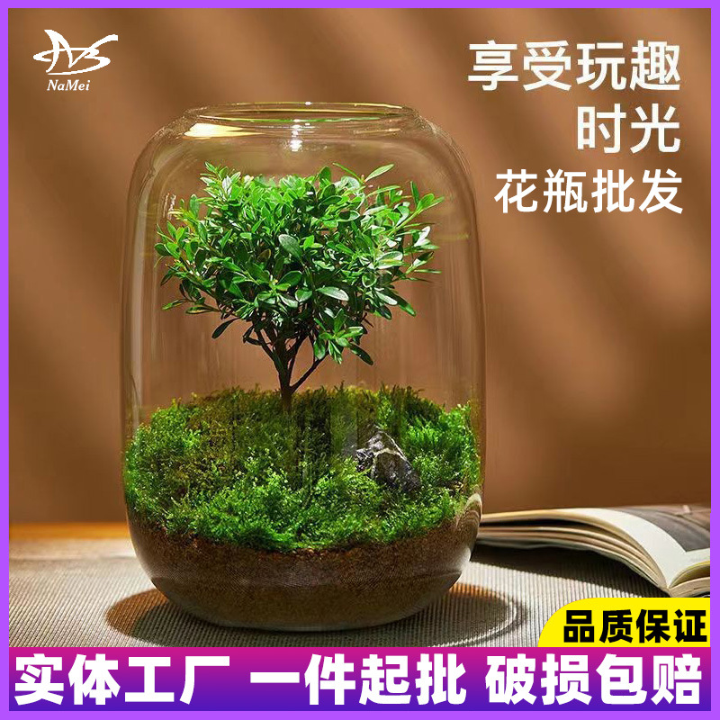 Wholesale of ecological hydroponic plant bottles, glass vases, decorative micro-landscapes, small fish tanks, office desks, and living room ornaments
