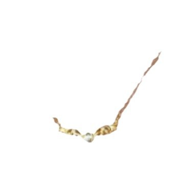 import白底实物图