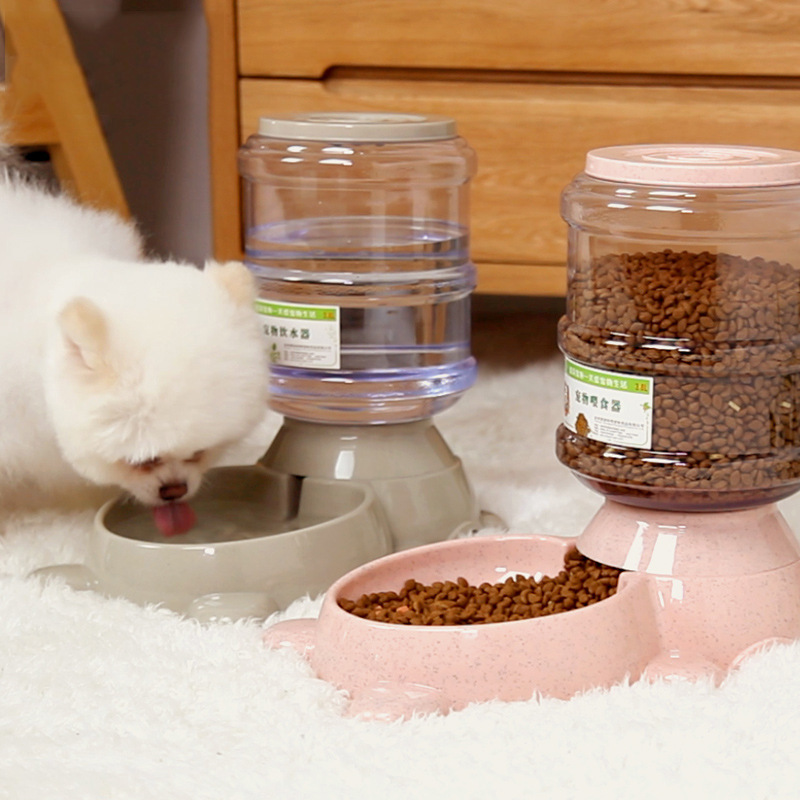 Cute dog and cat pet drinking and feeding automatic device, dog food bowl, Bichon Frise and Teddy drinking products details Picture