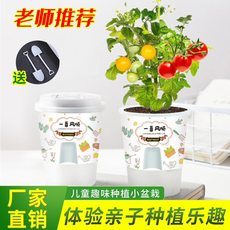 卡通情绪稳定盆栽室内迷你桌面小绿植儿童种植网红罐头观景盆栽批