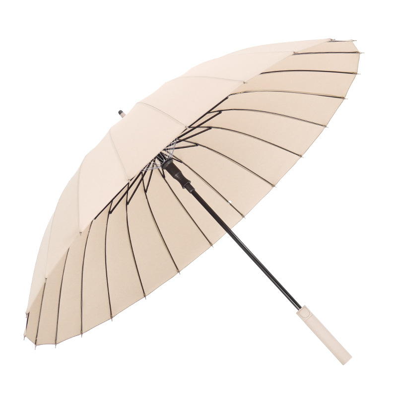 import白底实物图