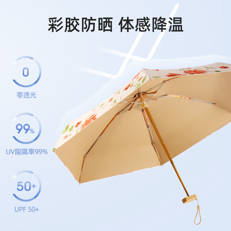 其他宠物周边用品实物图