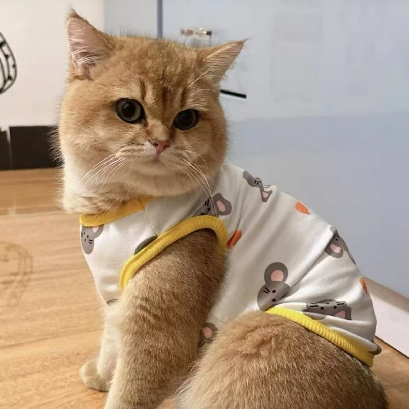 猫咪衣服防掉毛夏季薄款英美短蓝猫布偶猫小型犬泰迪狗狗夏天背心