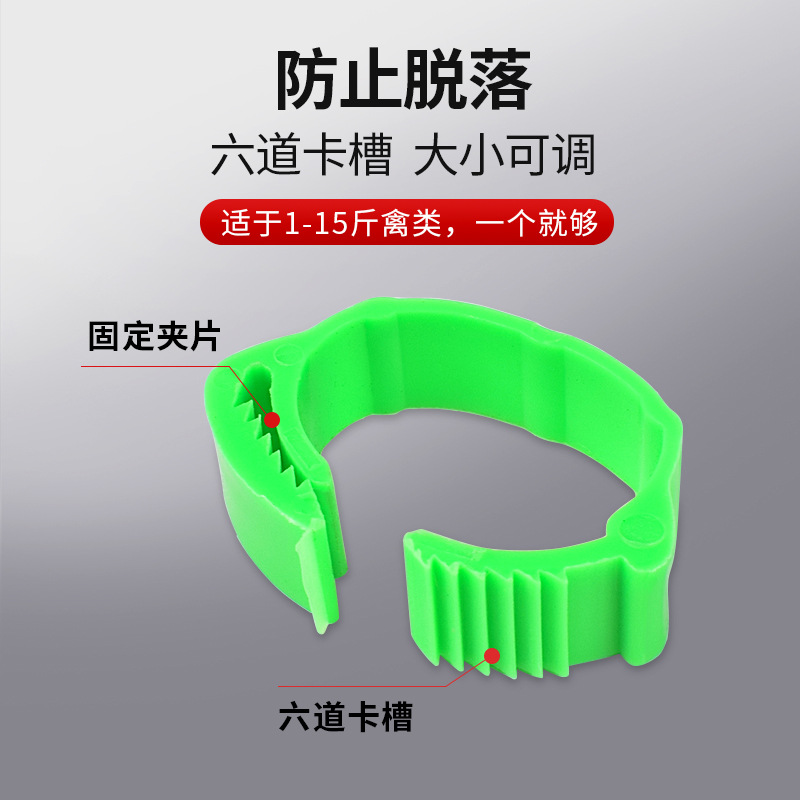 0.1鸡脚环卡扣式鸭鹅禽类可调脚环记号识别环大小鸡通用塑料标签脚圈细节图