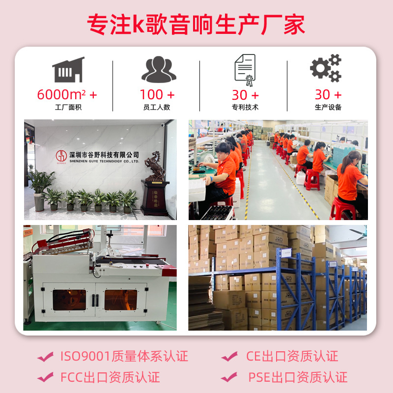 定制P2无线蓝牙音响家庭ktv话筒一体麦克风组合手机K歌神器专用产品图