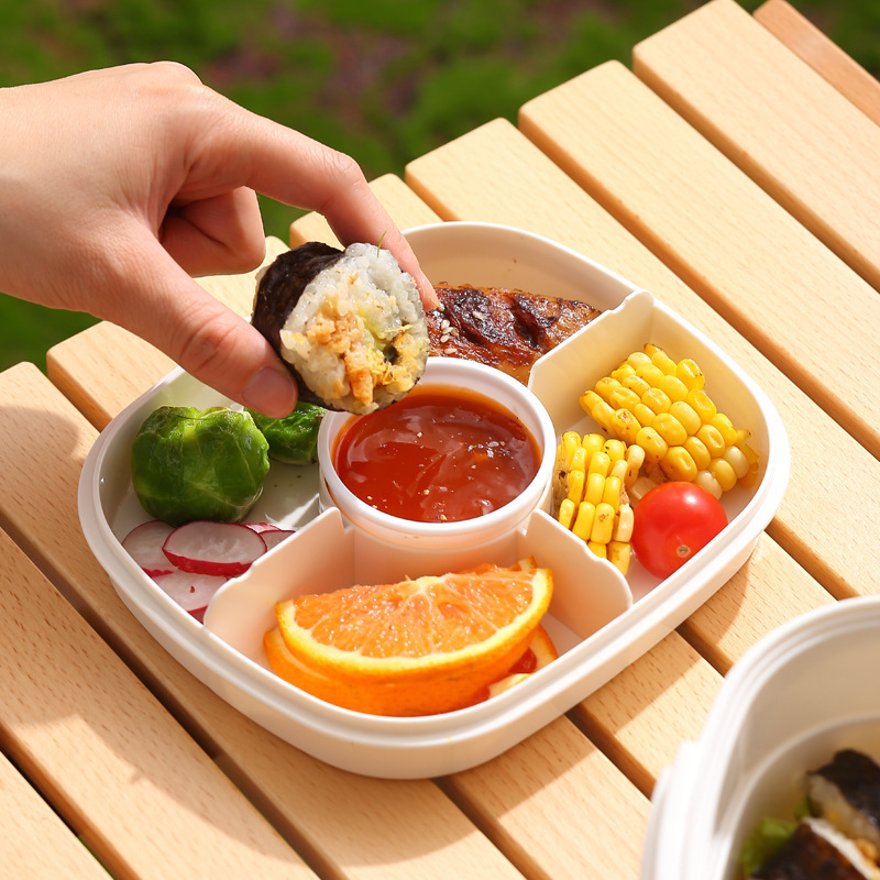 便携双层沙拉盒/野餐保鲜盒/大容量分格/食品级塑料/户外保冷盒/保鲜长效盒/野外出行必备/安全健康材质/旅行野餐好伴侣/环保可重复使用细节图