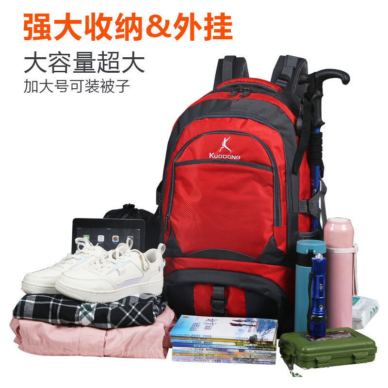 import白底实物图