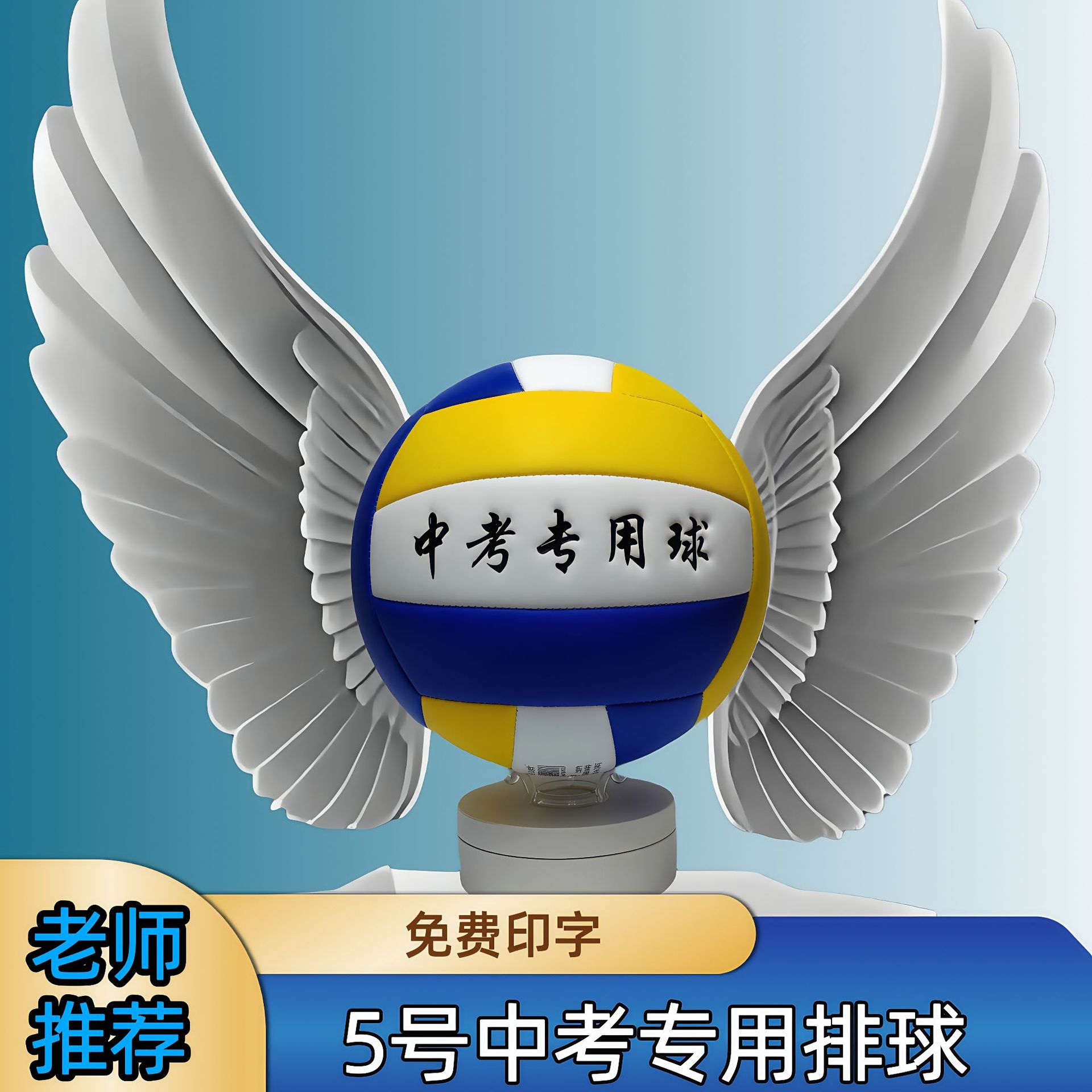 高颜值五号排球中考专用标准比赛训练用球初中生体育考试软式硬排