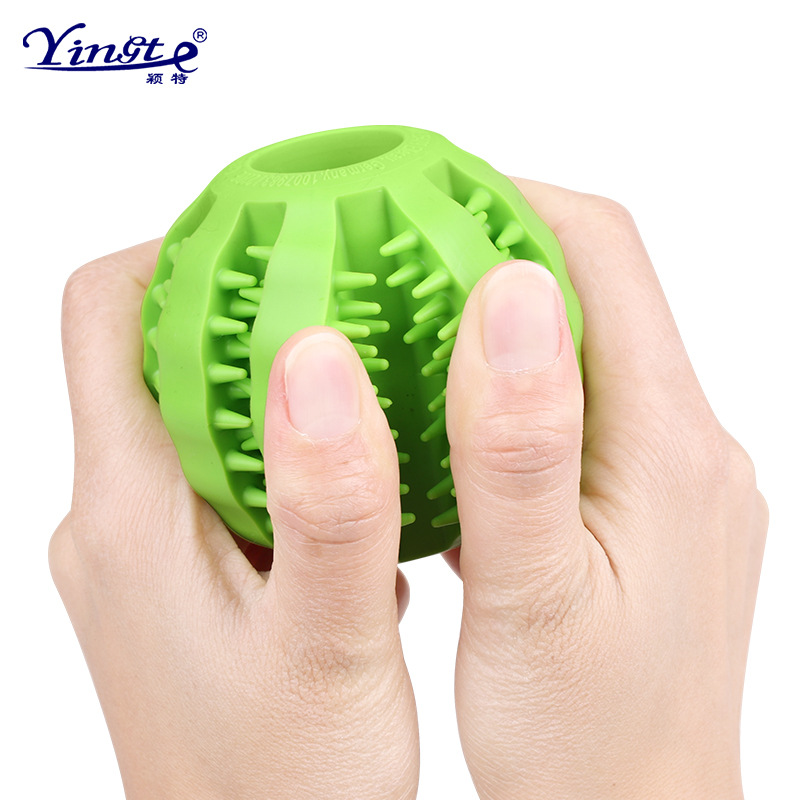 Pet Toy Dog Toy Watermelon Ball Bite Resistant Clean Tooth Leakage Ball Chew Dog Bite Toy Teething Ball Application Scenario