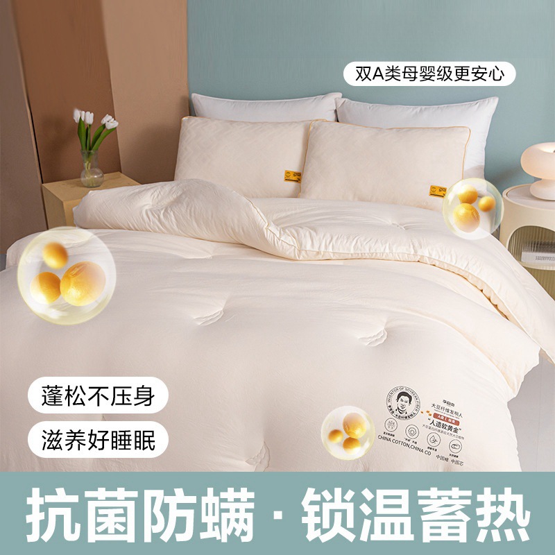 Class A Li Guanqi soybean fiber quilt, thick winter cotton quilt, warm winter quilt, spring and autumn quilt, thin quilt core details Picture