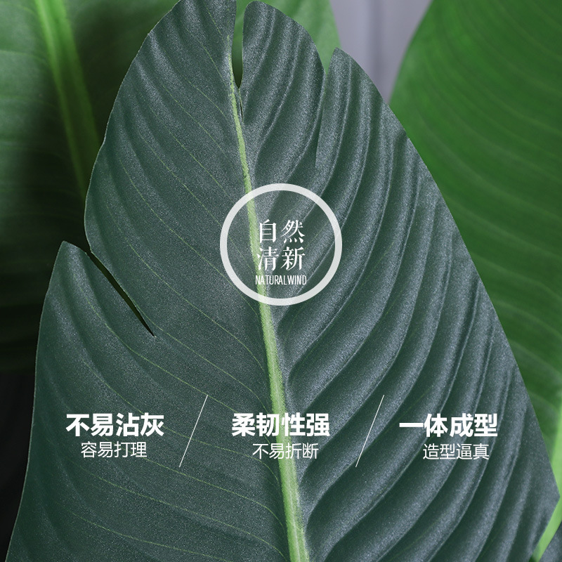旅人蕉大型北/仿真旅人蕉/仿真美人蕉产品图