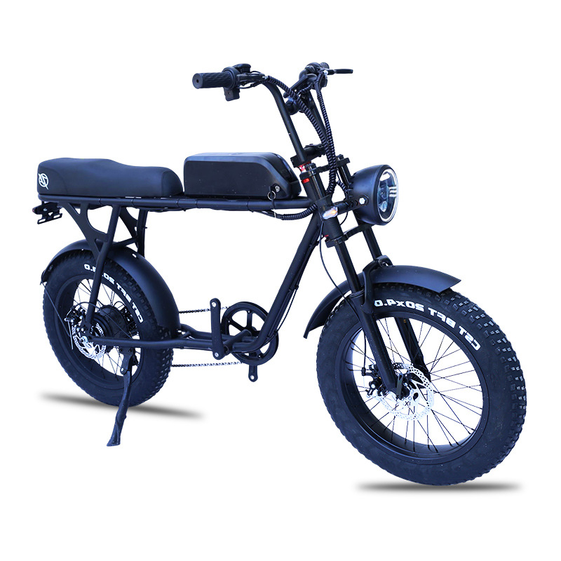 20 Inch Fat Tire Snow Electric Bicycle Variable Speed Folding Power Beach Off-Road Lithium Electric Mountain Bike details Picture