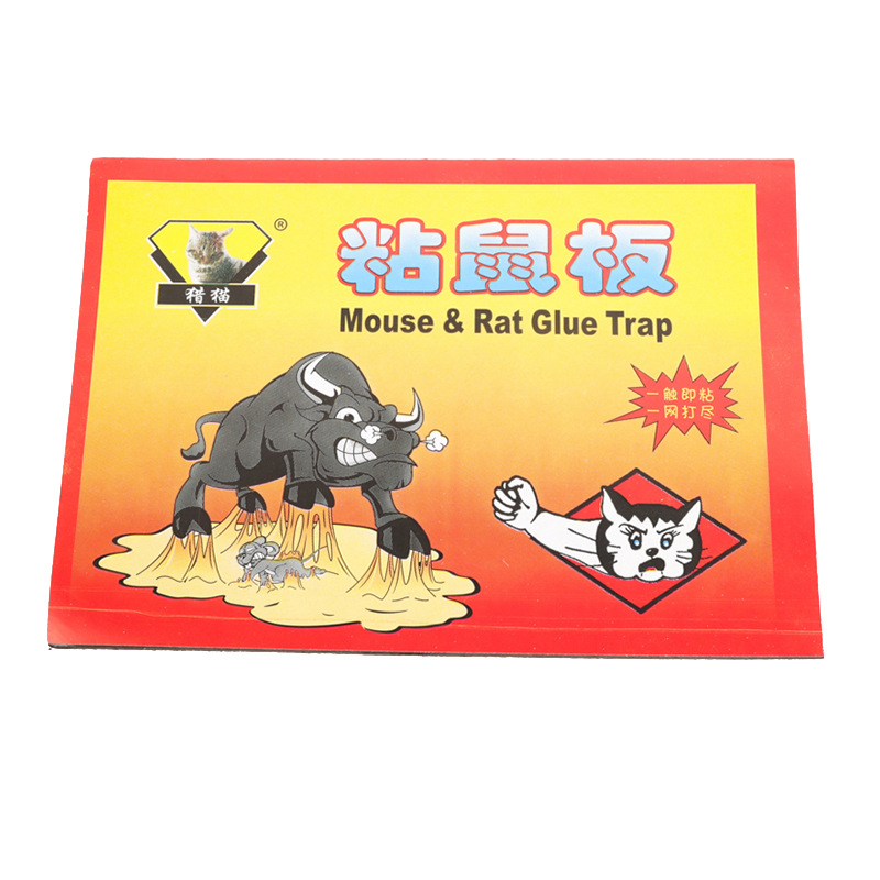 import白底实物图