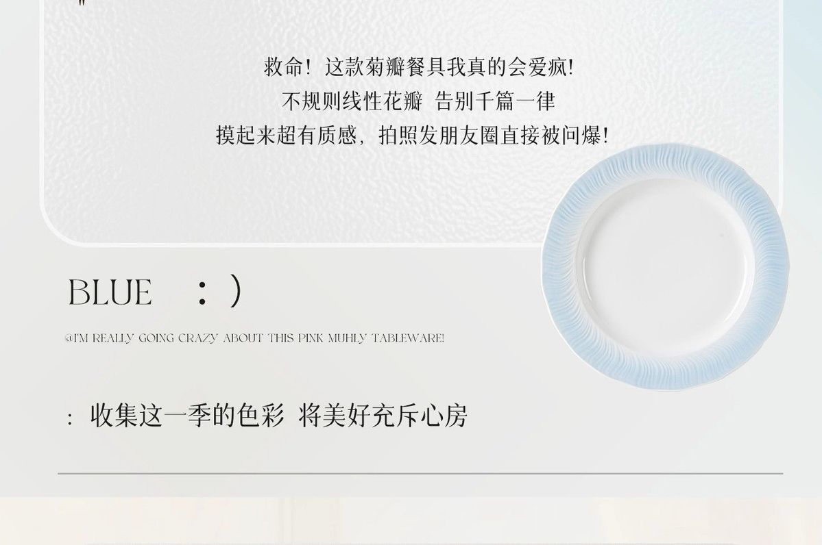 釉下彩家用碗碟套装餐具2025新款碗筷简约高颜值碗盘陶瓷乔迁礼品详情4