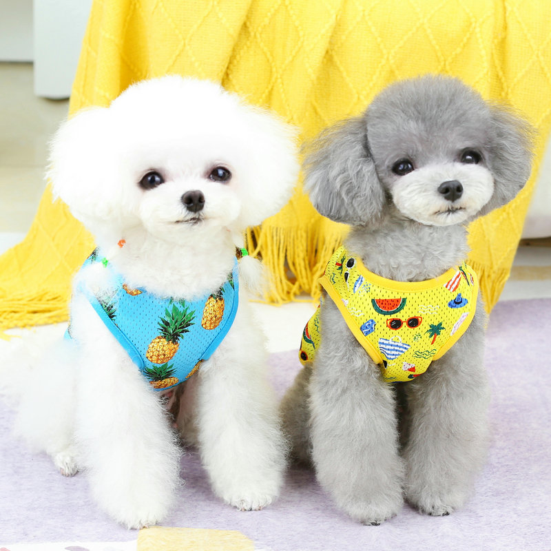 Spring and summer pet clothes are comfortable and breathable. Summer pineapple mesh vest, dog clothing factory, teddy clothes details Picture