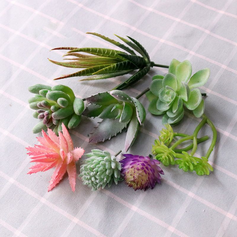 仿真植物实物图