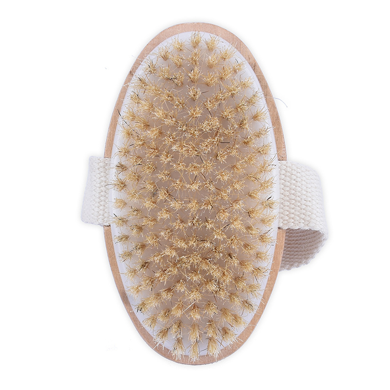 【 Spot Price 】 Bath Brush Massage Brush Back Massage Brush Bath Body Brush Hand Brush Exfoliating In Stock details Picture
