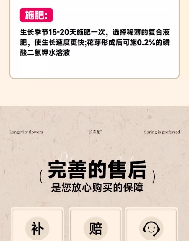 长寿花盆栽重瓣变色龙大花带花苞花苗室内易活花卉四季开花绿植物详情14