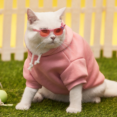 2021 Dog Clothing New Dog And Cat Hoodie With Hoodie Pet Coat Big Dog Clothing Solid Color Two-Legged Hoodie Application Scenario