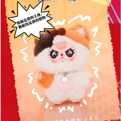 babythree娃三岁阿猫阿狗毛绒盲盒潮玩TIKTOK直播间详情5