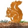亚马逊现货Rusty Squirrel花园装饰生锈的松鼠室外摆件铁艺工艺品图