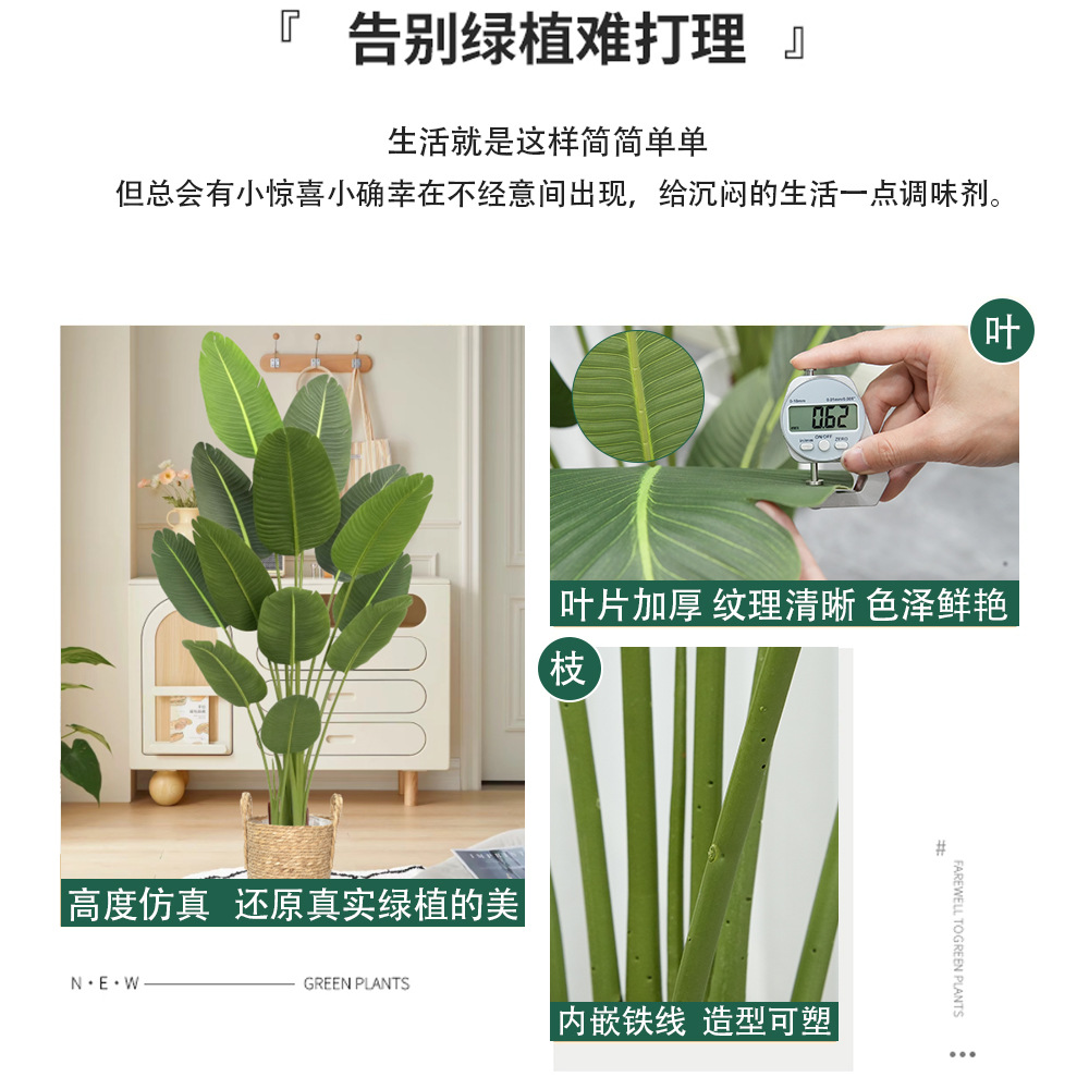 花束/仿真植物/绿植摆件/绿植装饰/竹子装饰产品图