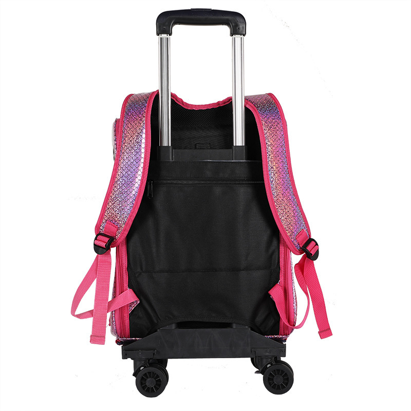 Factory-supplied large portable cat bags for summer outings, fully transparent space capsule cat backpacks for both shoulders Application Scenario