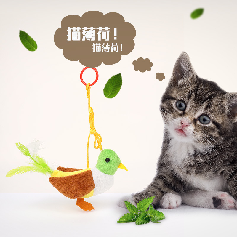 宠物猫咪玩具/吊环拉绳动物/猫薄荷小鸟猫产品图