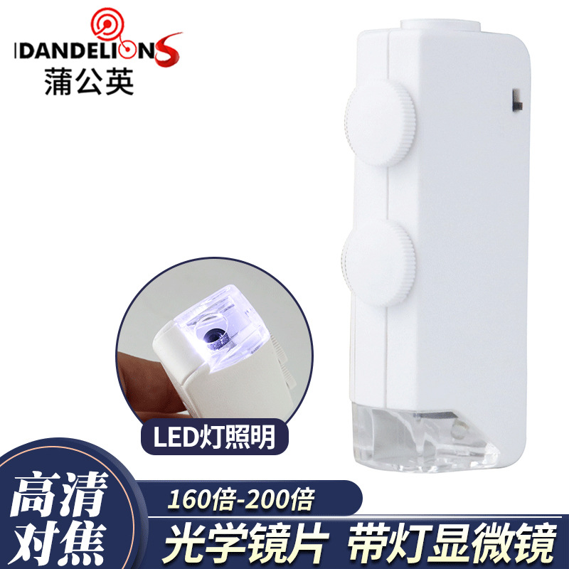 便携式放大镜放大镜翡翠珠宝鉴赏160-200倍可调焦带LED显微镜批发