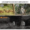 New cross-border 4G solar-powered hunting camera, high-definition camouflage monitoring, wireless mobile phone monitoring, full-color night vision, 4M Application Scenario