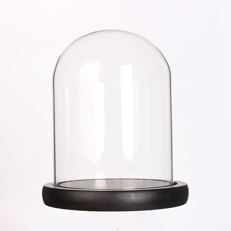 Eternal Life Flower Glass Cover Cork dust Micro landscape dust decoration Vase bouquet DIY dry flower glass cover Item Picture